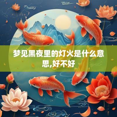 梦见黑夜里的灯火是什么意思,好不好