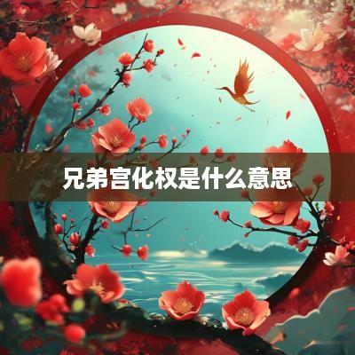 兄弟宫化权是什么意思