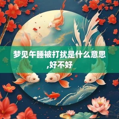 梦见午睡被打扰是什么意思,好不好