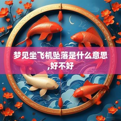 梦见坐飞机坠落是什么意思,好不好