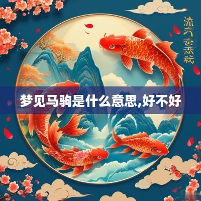 梦见马驹是什么意思,好不好