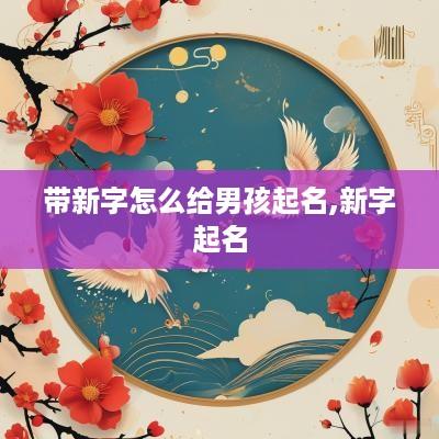带新字怎么给男孩起名,新字起名