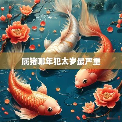 属猪哪年犯太岁最严重