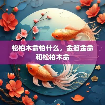 松柏木命怕什么，金箔金命和松柏木命
