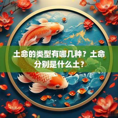 土命的类型有哪几种？土命分别是什么土？