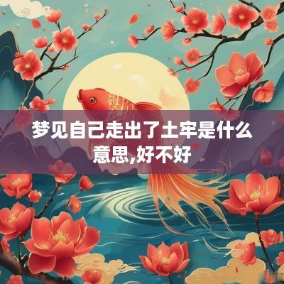 梦见自己走出了土牢是什么意思,好不好