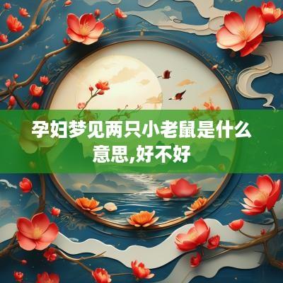 孕妇梦见两只小老鼠是什么意思,好不好