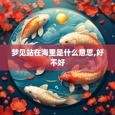 梦见站在海里是什么意思,好不好