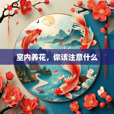 室内养花，你该注意什么