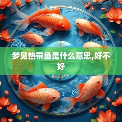 梦见热带鱼是什么意思,好不好