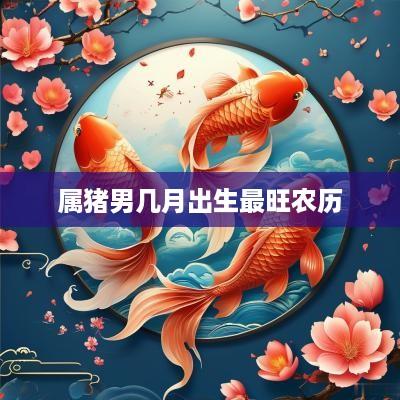 属猪男几月出生最旺农历