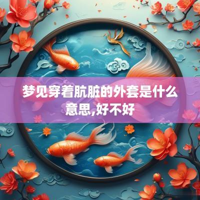 梦见穿着肮脏的外套是什么意思,好不好