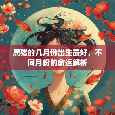 属猪的几月份出生最好，不同月份的命运解析