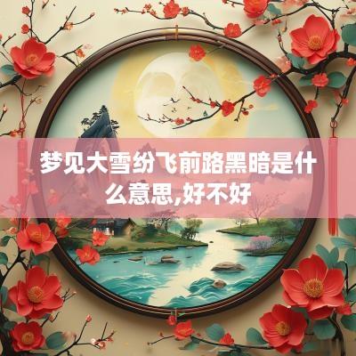 梦见大雪纷飞前路黑暗是什么意思,好不好
