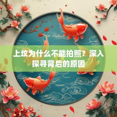 上坟为什么不能拍照？深入探寻背后的原因