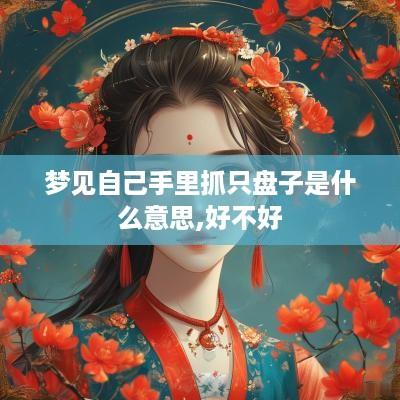 梦见自己手里抓只盘子是什么意思,好不好