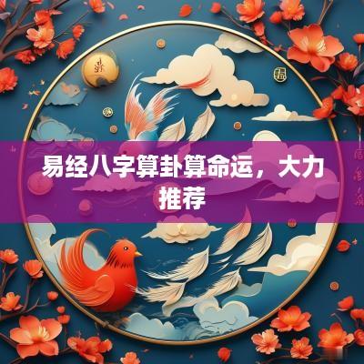 易经八字算卦算命运，大力推荐
