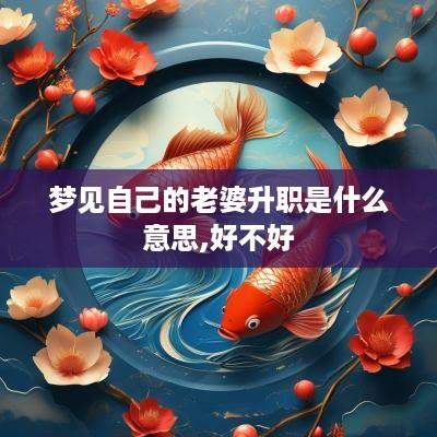 梦见自己的老婆升职是什么意思,好不好