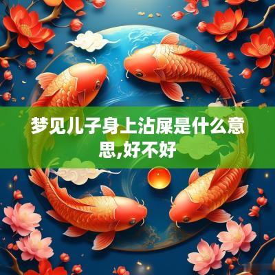 梦见儿子身上沾屎是什么意思,好不好