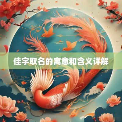 佳字取名的寓意和含义详解
