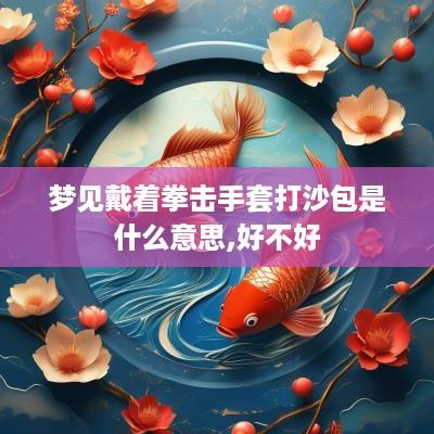 梦见戴着拳击手套打沙包是什么意思,好不好