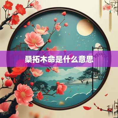 桑拓木命是什么意思