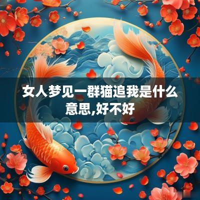 女人梦见一群猫追我是什么意思,好不好