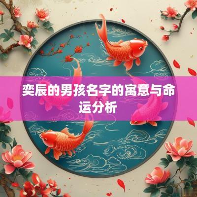 奕辰的男孩名字的寓意与命运分析
