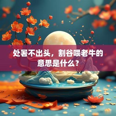 处暑不出头，割谷喂老牛的意思是什么？