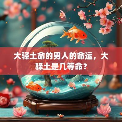 大驿土命的男人的命运，大驿土是几等命？