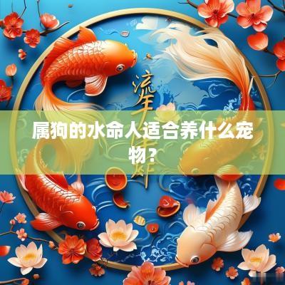 属狗的水命人适合养什么宠物？
