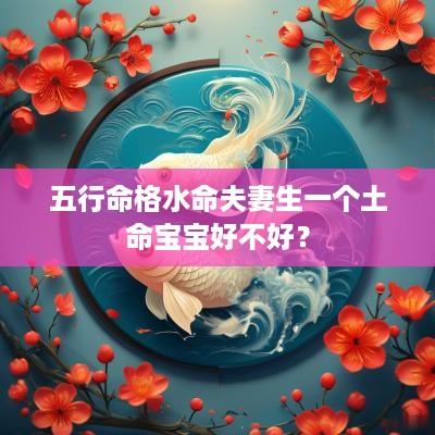 五行命格水命夫妻生一个土命宝宝好不好？