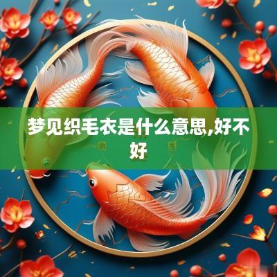 梦见织毛衣是什么意思,好不好
