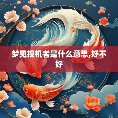 梦见投机者是什么意思,好不好
