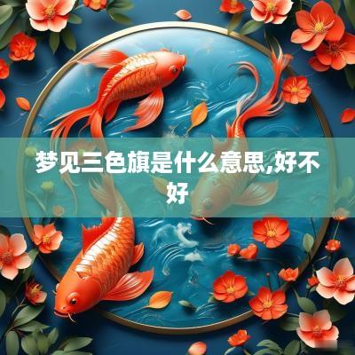 梦见三色旗是什么意思,好不好