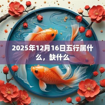 2025年12月16日五行属什么，缺什么