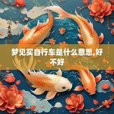 梦见买自行车是什么意思,好不好
