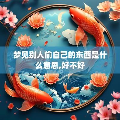 梦见别人偷自己的东西是什么意思,好不好