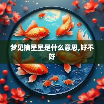 梦见摘星星是什么意思,好不好
