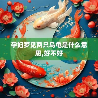 孕妇梦见两只乌龟是什么意思,好不好