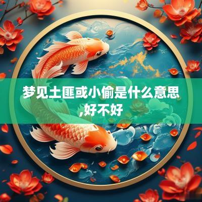 梦见土匪或小偷是什么意思,好不好
