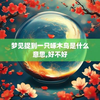 梦见捉到一只啄木鸟是什么意思,好不好