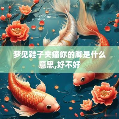 梦见鞋子夹痛你的脚是什么意思,好不好