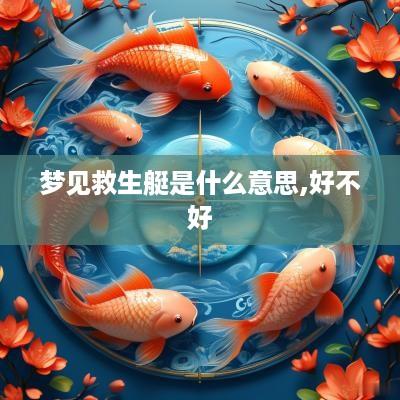 梦见救生艇是什么意思,好不好