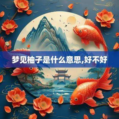 梦见柚子是什么意思,好不好