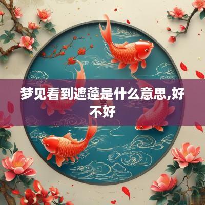 梦见看到遮蓬是什么意思,好不好