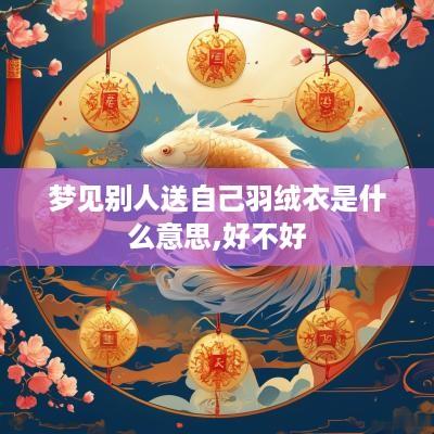 梦见别人送自己羽绒衣是什么意思,好不好
