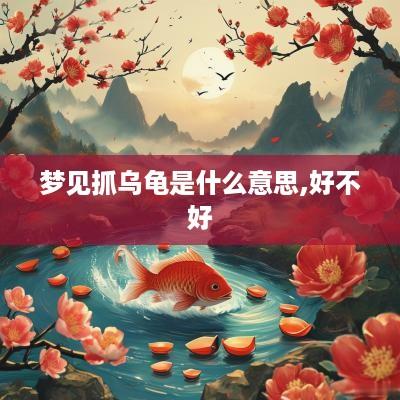 梦见抓乌龟是什么意思,好不好
