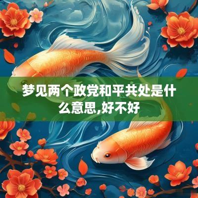 梦见两个政党和平共处是什么意思,好不好