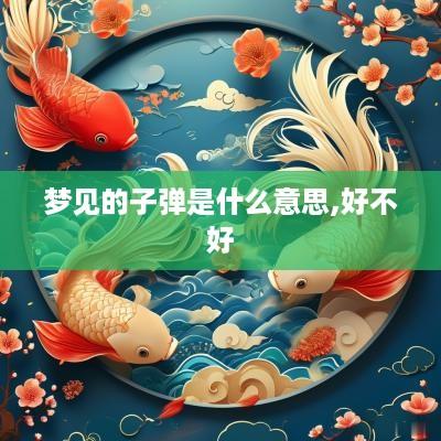 梦见的子弹是什么意思,好不好
